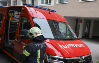 Feuerwehr entfernte nach Insektenstich Ring von Finger